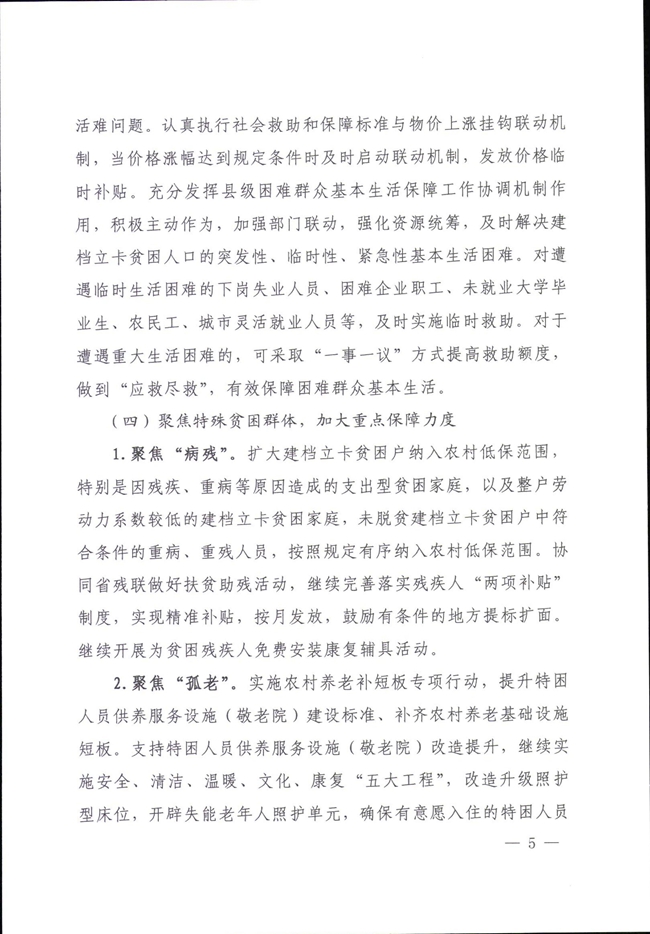 河南省民政廳關(guān)于鞏固脫貧成果有效防止返貧的實施意見_00005